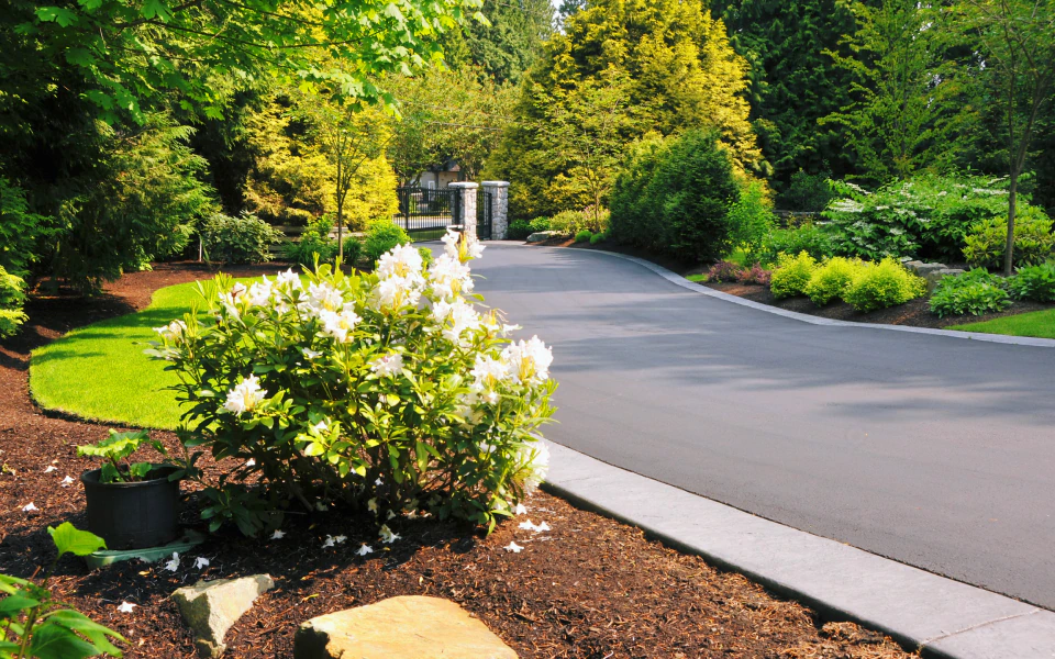 Home Landscaping Services