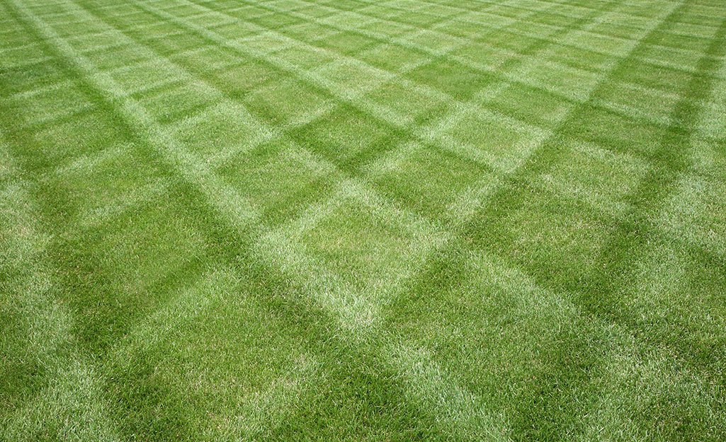 checkeredmowing