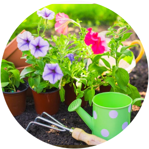 garden installation services